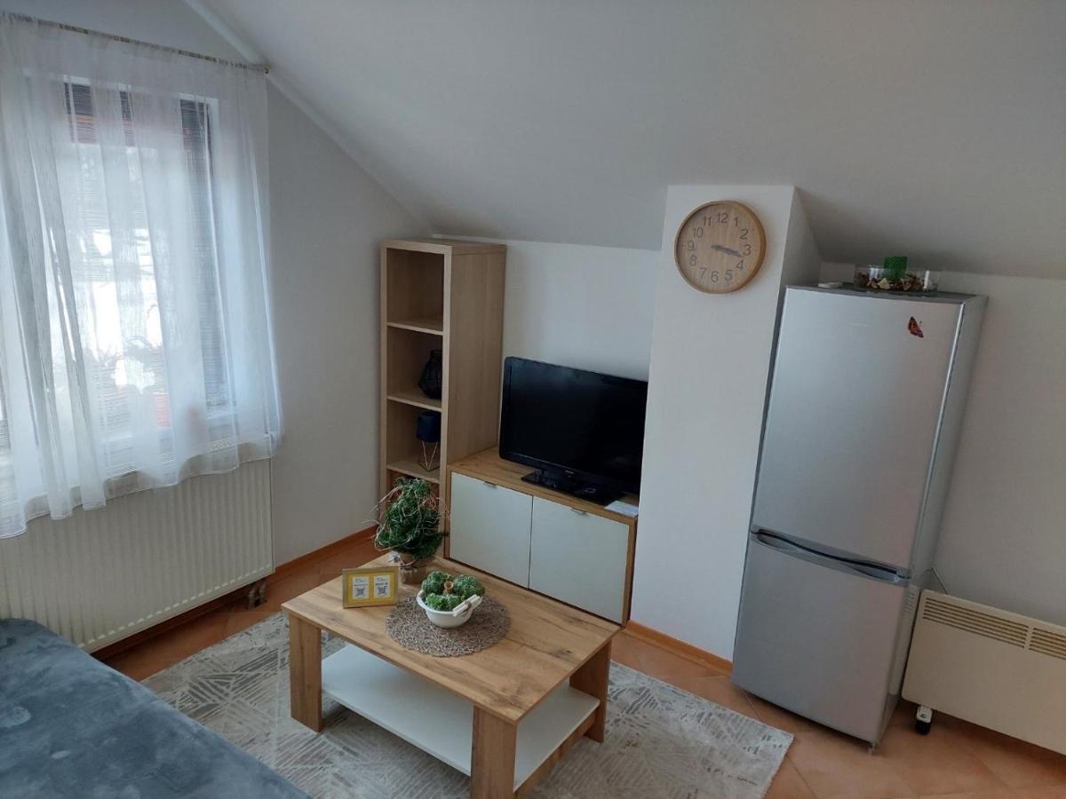 Apartma Anastasija 克拉尼斯卡戈拉 外观 照片