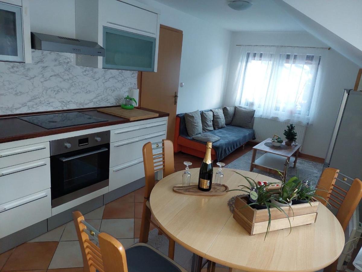 Apartma Anastasija 克拉尼斯卡戈拉 外观 照片